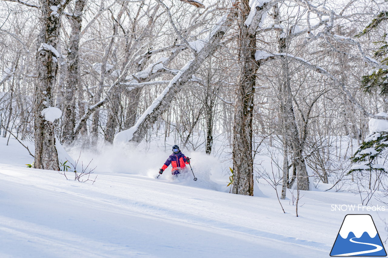 十勝サホロリゾート｜道東の粉雪はレベルが違う☆抵抗感皆無のさらさらパウダースノーへ滑り込め！(*^^*)